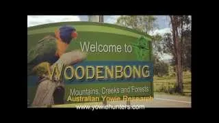 Yowie / Bigfoot Sighting (Audio Report #01) in Woodenbong New South Wales