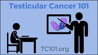 Testicular Cancer 101