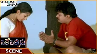 Oke Okkadu Movie || Arjun Proposed To Manisha Koirala || Arjun, Manisha Koirala || Shalimarcinema