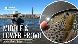 Utah Fly Fishing | EXCELLENT Day on the Middle and Lower Provo River!