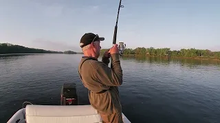 CT River Stripers on Poppers