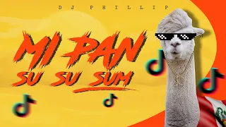 MI PAN SU SU SUM - DJ PHILLIP (PERREO) (TIK TOK) REMIX OFICIAL