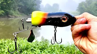 Testing WEIRD New MUSKY Topwater - MULTI FISH DAY!!