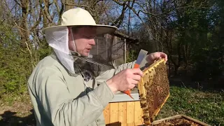 Rozšíření dvounástavkového včelstva