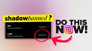 THIS Is Why Your Reach Is So Low (Instagram Algorithm)