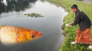 Best Fishing video 2023| Traditional Boy Catching Big Fish With Plastic Bottle Fish Hook by River 2