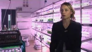 Klimapioniere: Algen im Tank | SPIEGEL TV