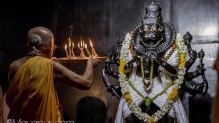 HH Indradyumna Swami - Nrsimha Pranam