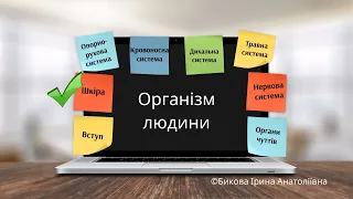 Організм людини: шкіра