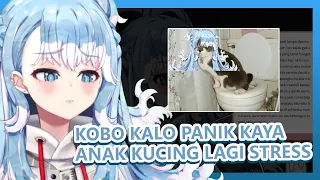 Kobo panik kaya kucing yang lagi stress [Holohero / Kobo Kanaeru]