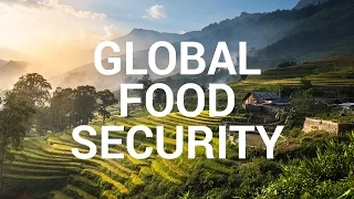 Impact Story: Global Food Security