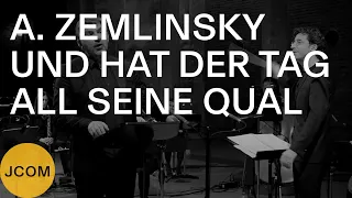 ALEXANDER ZEMLINSKY: V. Und hat der Tag all seine Qual (Thomas E. Bauer, JCOM, Daniel Grossmann)