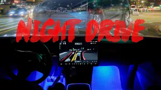 Tesla Model Y - Night drive - FSD Beta 10.69.3.1 good or bad?