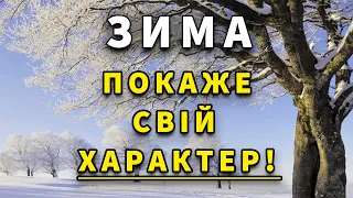 ЗИМА ГОТУЄ СЮРПРИЗ?! Погода на ЗИМУ 2023 - 2024 РОКУ