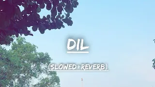 Dil - Lofi [Slowed + Reverb] | Raghav Chaitanya | #lofi |