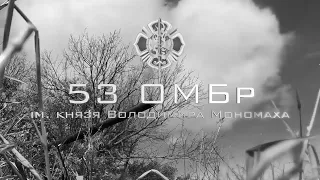 Залізні люди 53 ОМБР імені князя Володимира Мономаха