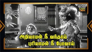 அறியாமல் நீ வந்தாய் புரியாமல் நீ போவாய்!