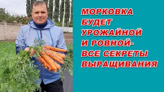 Выращивание урожайной морковки от "А" до "Я"- самые полезные советы.