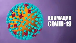 Анимация COVID-19. Что произойдет, если вы заразитесь коронавирусом?