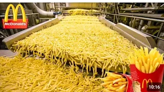 How Are McDonald's French Fries Made - Food FactoryYouTube ·