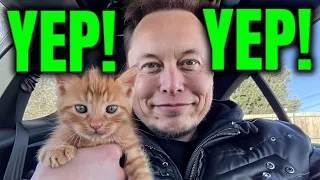 ELON'S CAT! NEXT HUGE MEMECOIN! ELON MUSK + HIS CAT + MEMECOIN = WINNER!