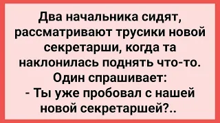 Начальники Попробовали с Новой Секретаршей! Сборник Свежих Смешных Жизненных Анекдотов!