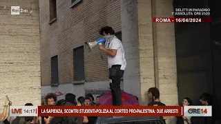 Scontri a La Sapienza tra studenti e polizia al corteo pro Palestina - Ore 14 del 17/04/2024