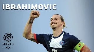 Les 26 buts de Zlatan Ibrahimovic / 2013-2014