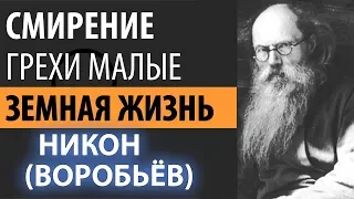 Помни для чего Живешь! Смирение и малый Грех. Никон (Воробьев)