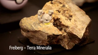 Terra Mineralia DE