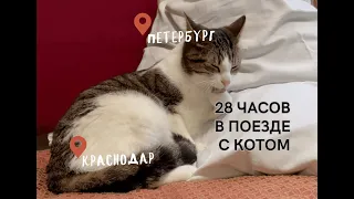 СУТКИ с КОТОМ в поезде | НЕ РАЗРЕШАЮТ ВЫПУСКАТЬ КОТА ИЗ ПЕРЕНОСКИ | Впервые еду в купе СВ