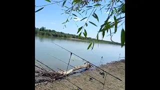 Вечерний Сырдарья,уровень поднимаеться клёв есть,на уху поймали.