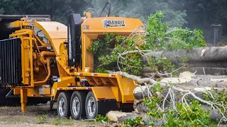 Dangerous Monster Wood Chipper Machines in Action, Fastest Biggest Tree Shredder Machines Working