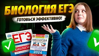 Как эффективно готовиться к ЕГЭ по биологии? | Умскул