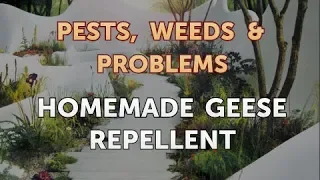 Homemade Geese Repellent