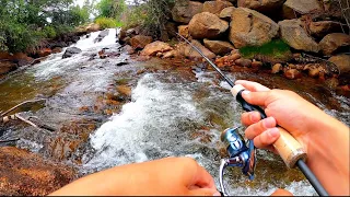 Small Stream Fishing For Colorado Trout