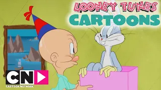 La sorpresa di compleanno di Taddeo | Looney Tunes Cartoons | Cartoon Network Italia