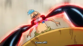 Luffy uses haki for the first time || Removes the Bomb Collar & saves the old man