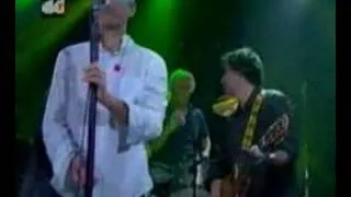 R.E.M. Live Country Feedback