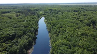 Озеро Тюковное с высоты птичьего полёта. Качество видео 4К