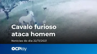 Vídeo mostra cavalo em fúria atacando homem em fazenda