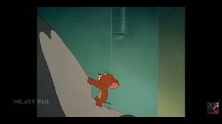 Tiktok tom and jerry animeHey ladies drop it down tiktok