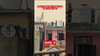 delhi  police  check on  terrace manjha #kiteflying #patang #ytshorts #shorts 😮😮😮😁👑👑