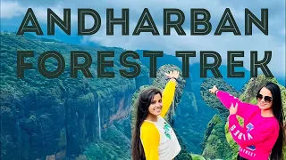 ANDHARBAN 2022 : The DENSE Forest of Maharashtra - Jungle Trek | Waterfalls |Monsoon