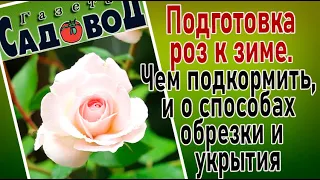 Подготовка роз к зиме. Чем подкормить, и о способах обрезки и укрытия