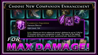 The BEST Companion Enhancements you NEED to USE for MAX DAMAGE! (Dps & Support) - Neverwinter M24