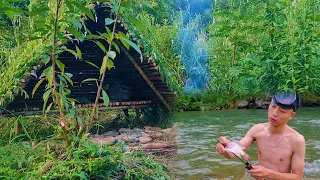 At the Old Shelter, Catching Fish, Picking Forest Fruits and Cooking | Triệu Phượng Tăng