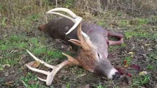 HUGE public land BUCK! - SPOT & STALK - Illinois Whitetail Deer archery hunt