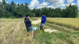 SAKA: Ang Buhay at Laban ng mga Magsasaka