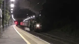 61306 Mayflower Barks through the Night! - Steam Dreams Excursion - 04.07.2019